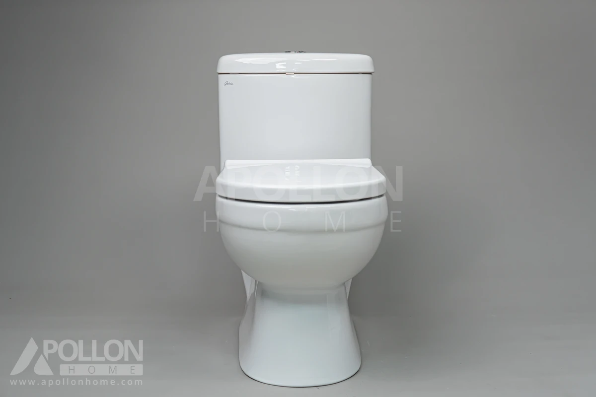 ST-73179-1-0 توالت فرنگی برند نام مدل گاتریا - سفید - تصویر شاخص